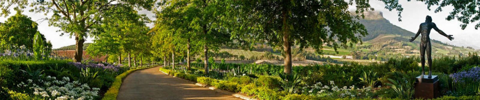 Out in Africa Delaire Graff Estate Franschhoek